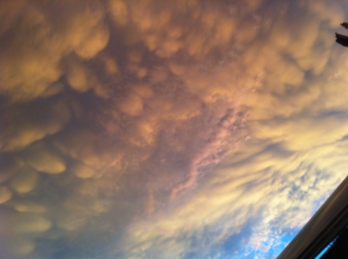 animeteen:THE SKY WAS LIKE 25 DIFFERENT KINDS OF CRAZY IN THE PAST HALF HOUR