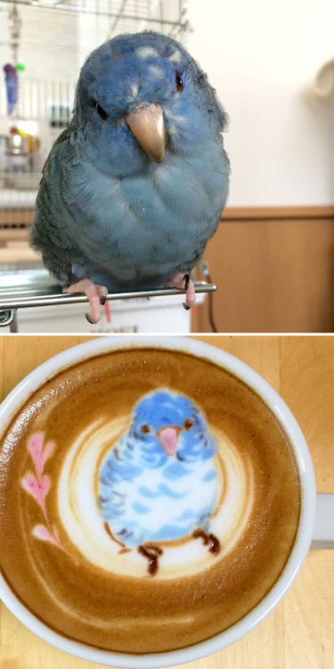 garland-on-thy-brow: nae-design: Stunning froth masterpieces by latte artist Ku-san @catullan