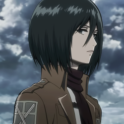 nomellamesfriki:  Esa mirada de Mikasa…  