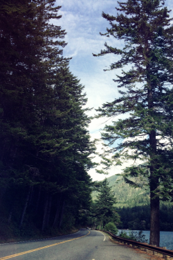 expressions-of-nature:  by Jessica Andrews Hwy 101, Olympic National Park, WA 