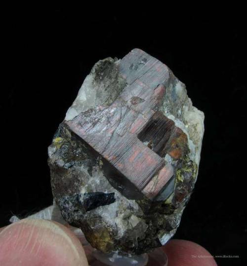 TantaliteNamed for its tantalum content (of which it is the main ore), this mineral forms what is te