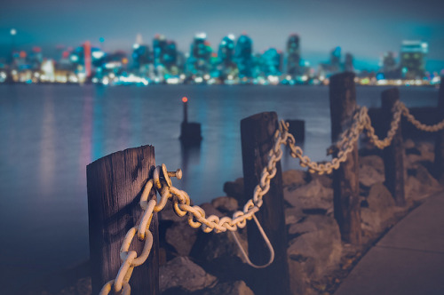 deletingmyself:  Happy Fence Friday {Lovely Lady by the Sea} Edition! (by pixelmama)| California, US