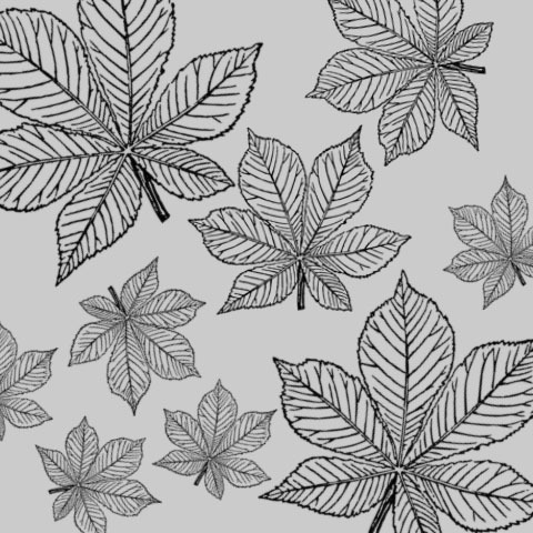 prettyawesomewallpapers