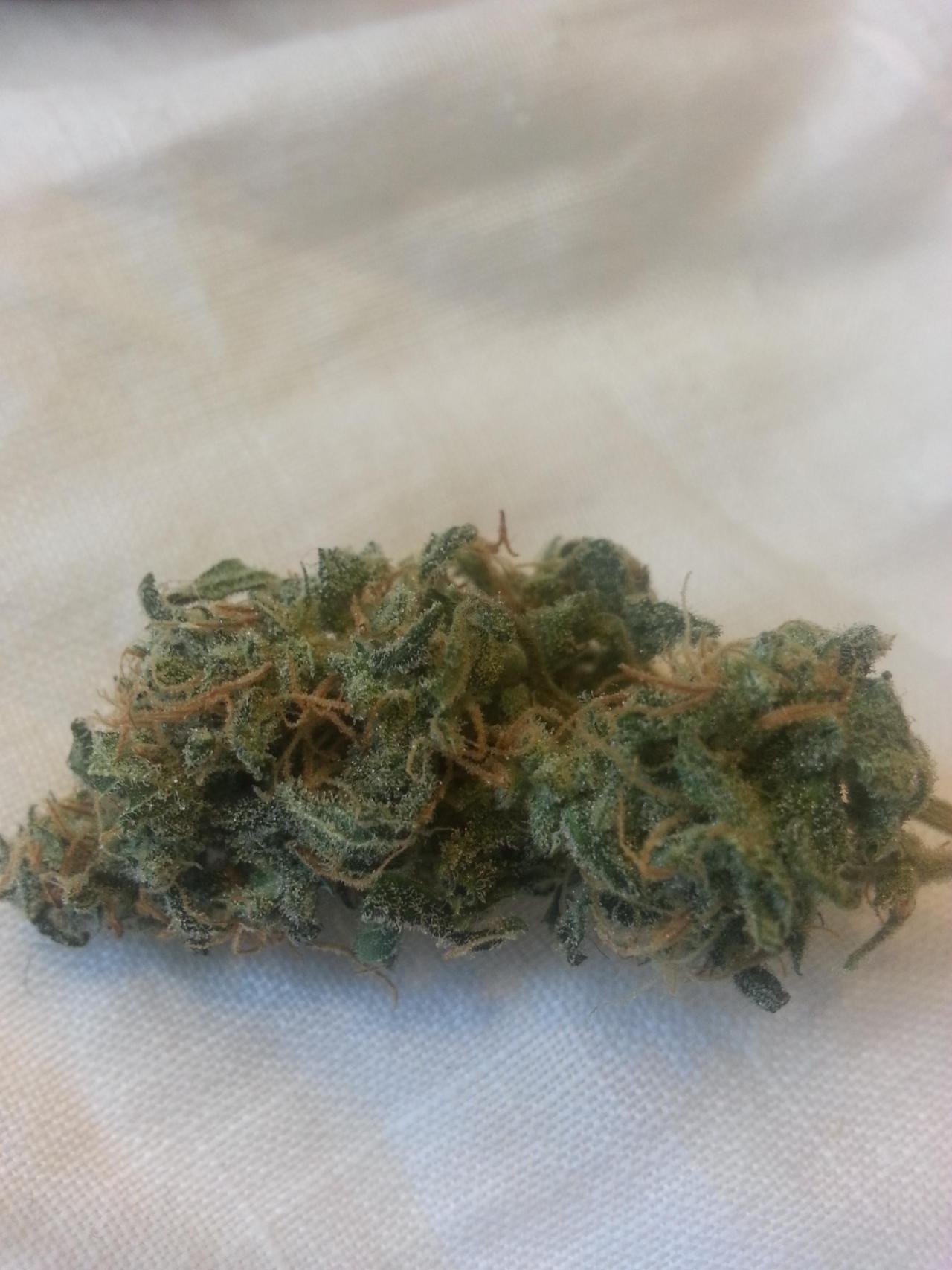 weedporndaily:  white widow