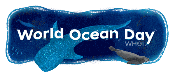 Coral Reefs Happy World Reef Day