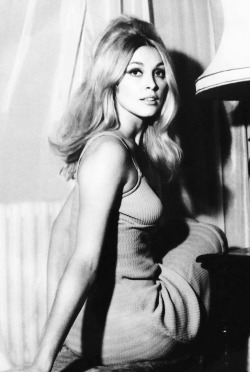 honey&ndash;rider:  Sharon Tate, photographed in September of 1965 in her London apartment 