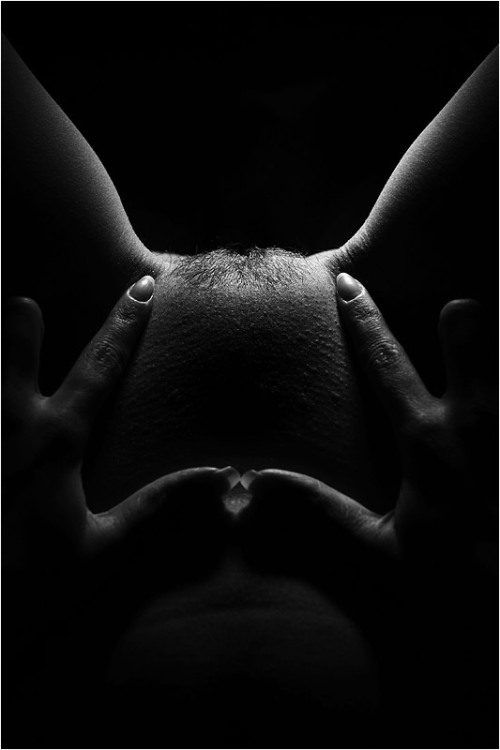 crixus-noir:    ♏    