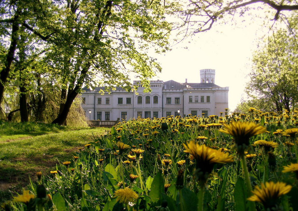 allthingseurope:  Będlewo, Poland (by halina-anna) 