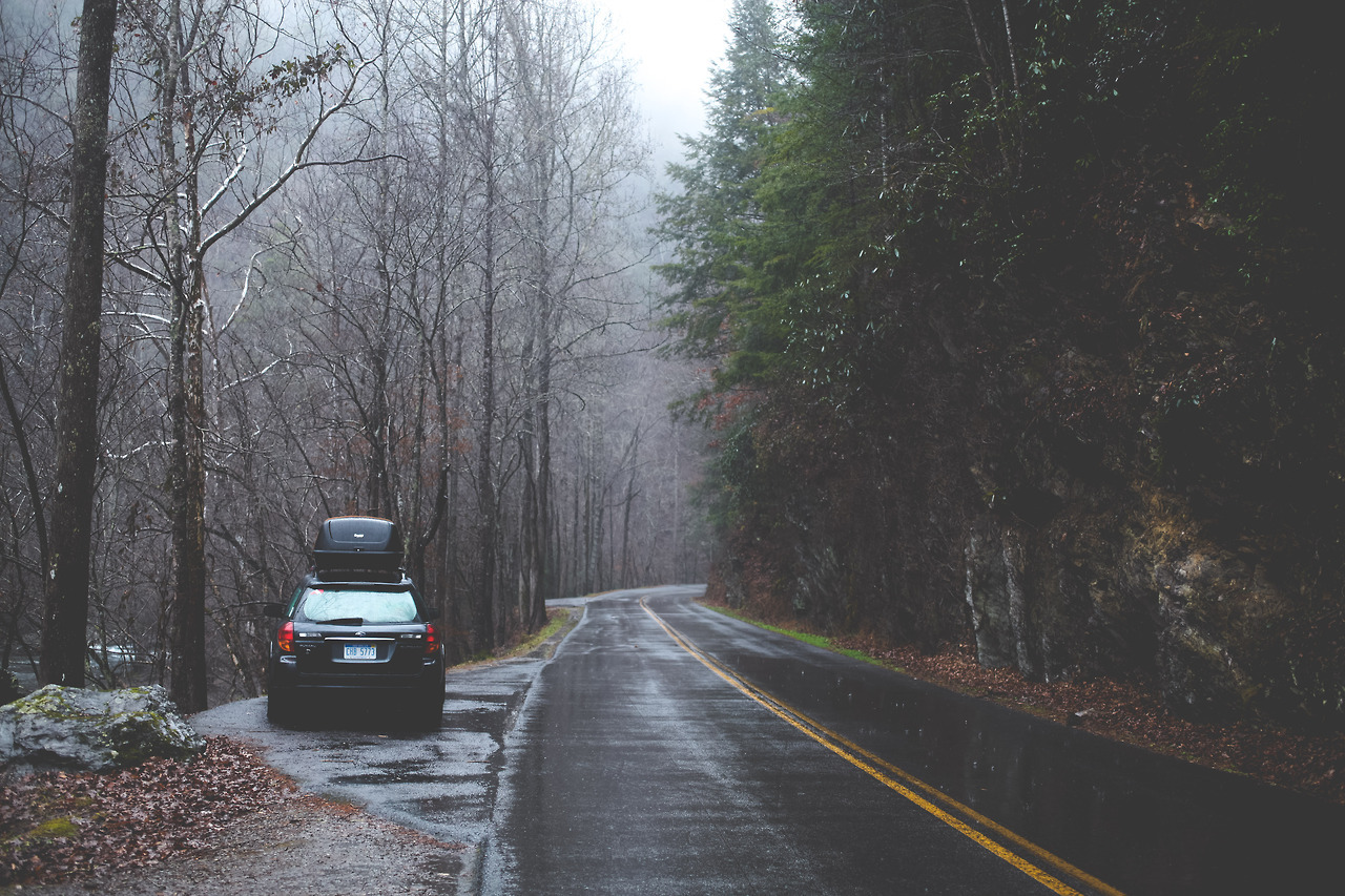 forests-whales:  Exploring along the River// Smoky Mountain National Park  By: Jonah