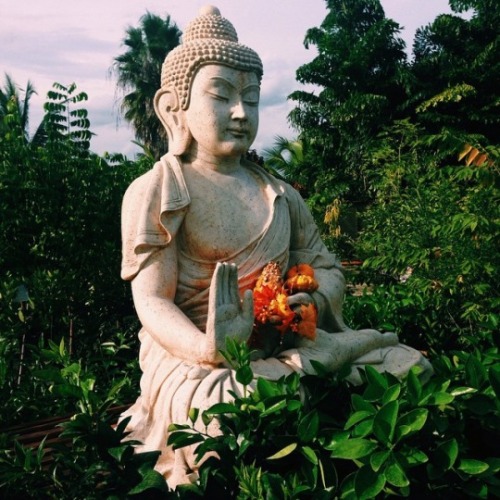 cherry-kiddo:  coconuttbutts:  your religion does not define you  take a tropical tour and follow fo