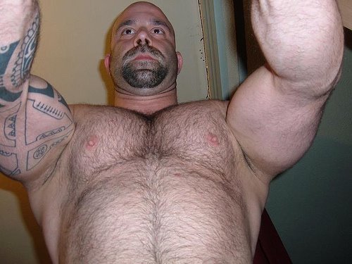 fuckyeahdaddies:  Loads of Daddies at Fuck Yeah Daddies.Click Here to Follow Fuck Yeah Daddies.