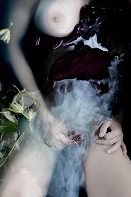 seaofcurves:  Heartstrings |  © S. E. Sullivan | July 2014 