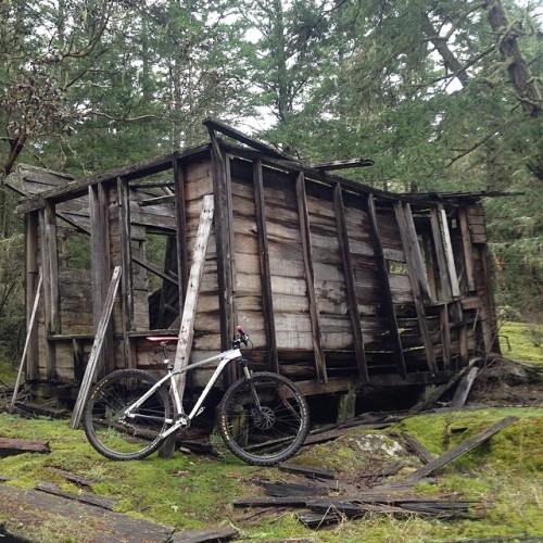 brodiebikes: Single track and entropy out on Lopez Island this winter. #mountainbiking