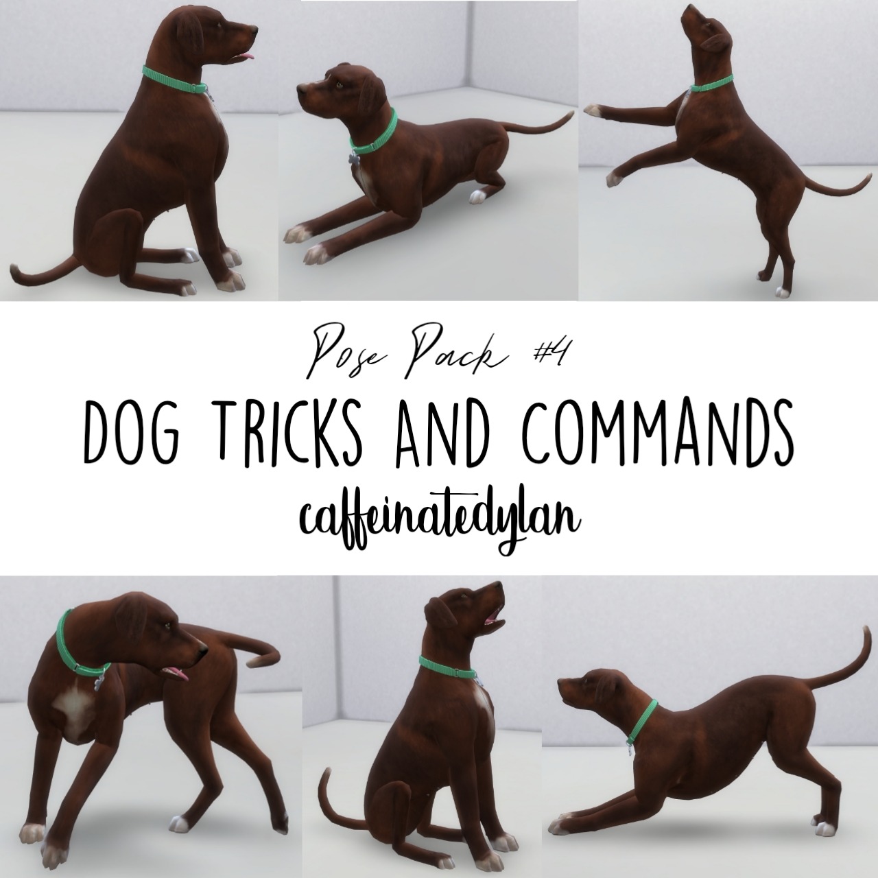 Sims 4 Dog Poses