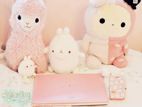 mydarlingrainbow:  So happy to have my laptop back guissse~