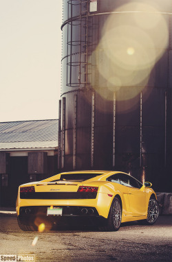 automotivated:  DSC_3194 e3 (by NLP Speed-Photos)