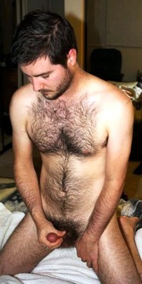 hairy-chests:  ((Hairy-Chest)) ((xLBigDick))