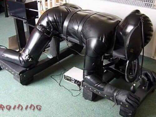 leatherbluf483: The agony and the ecstasy 