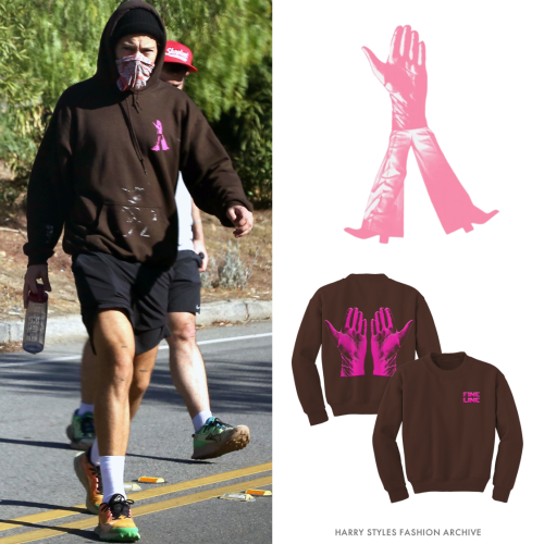 Harry in LA | January 4, 2021Unreleased Fine Line Anniversary HoodieThis brown hoodie shares design 