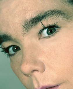 warmthestcord: Björk by Warwick Saint 