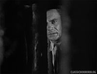 classichorrorblog:  Frankenstein (1931) 