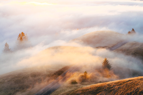 One of my favorite places in the bay area, Mount Tamalpais Photos by austinrheeInstagram: www.instag