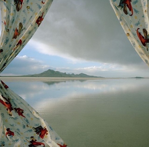 roseoilz:  certain curtain into the world by rebecca reeve