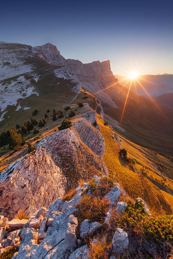 wanderingredleaves:   Sven Müller