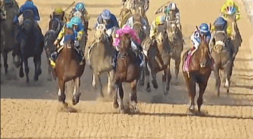 micdotcom:  The dark side of horse racing you won’t hear about on TV A win at