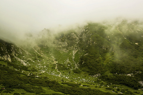 雾锁宝剑岳 Fog lock Bao Jianyue by Eagle’s eyes