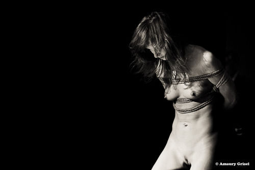 amaury-grisel-shibari:  Some pictures  from The Amazing Cabaret Rouge Nancy 2015with Otomo De Manuel and many greats artists Photography : Amaury Grisel