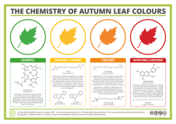 compoundchem:  Today is the Autumn Equinox