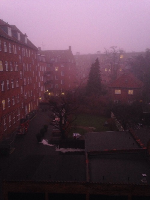 It&rsquo;s been foggy all day&hellip;