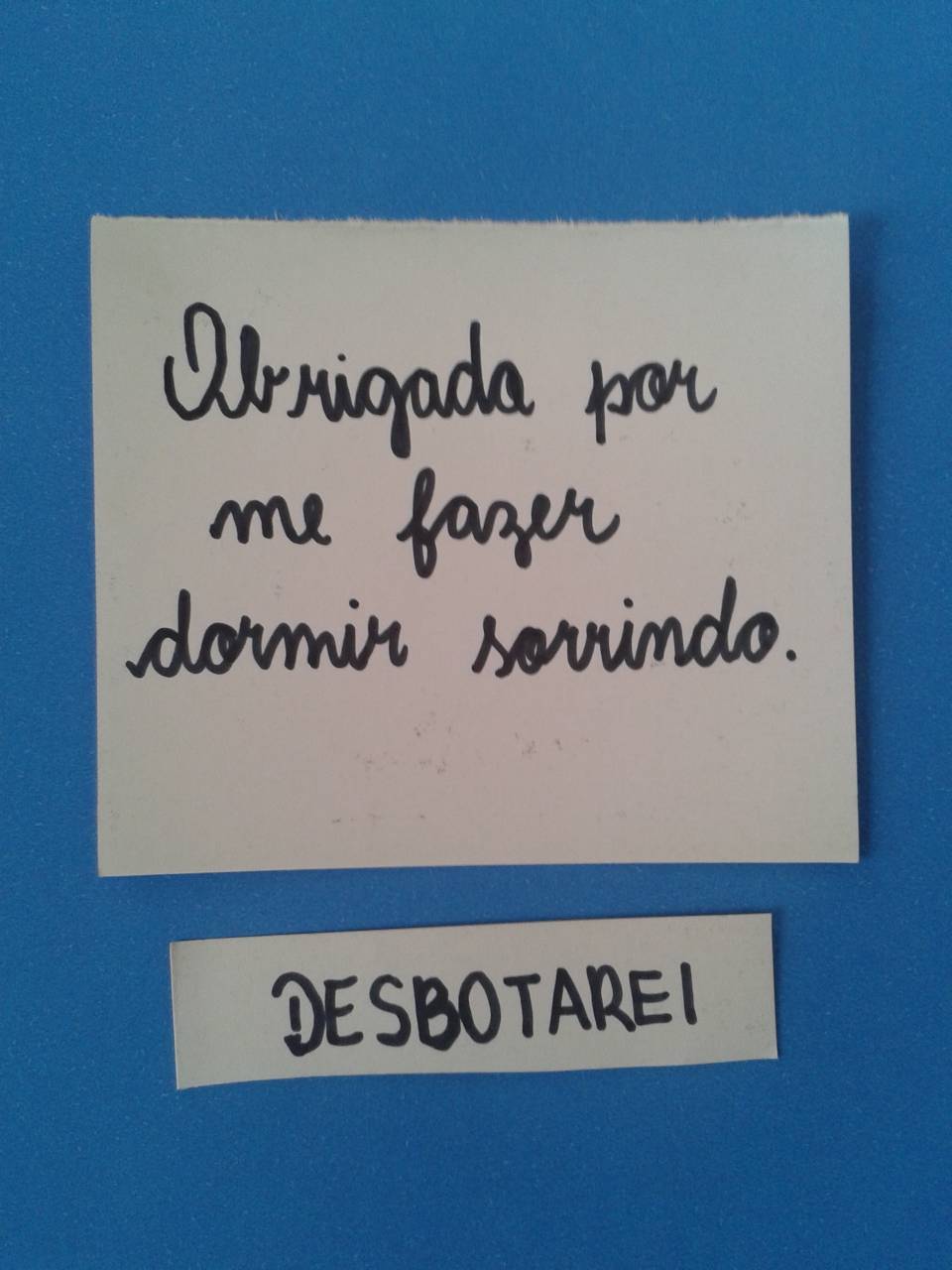 zona 360