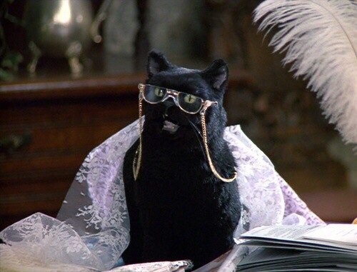 XXX miss-vanilla:  The best of Salem Saberhagen photo