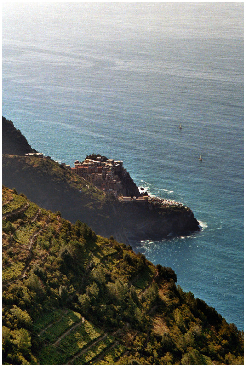 simobutterfly:Cinque Terre by od1e
