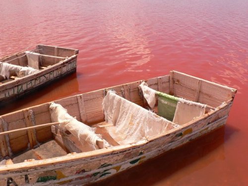 jeflondon:Lake Retba, Senegal  