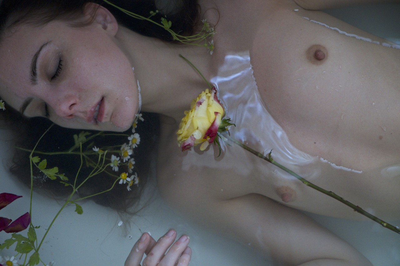 brookelynne:  roses &amp; camomile •✧{ more here }✧•