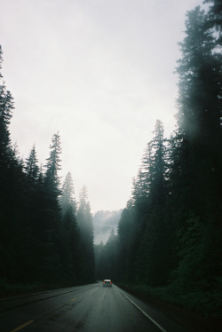 unkemptly:  hiddenhumans:  givncvrlos:  Oregon