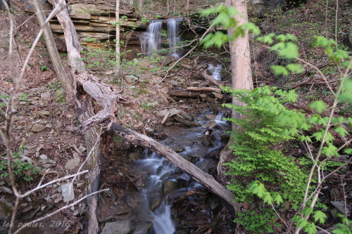 wrongturntravelogue: Sunday was a perfect day for a bike ride.  Above is a photo retrospective 