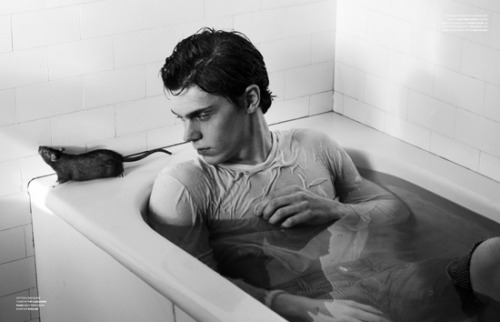 rowdyboy62:  Evan Peters - American Horror Story