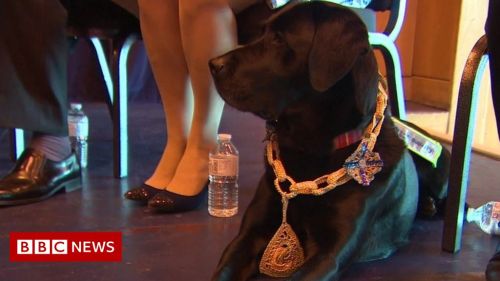 Torbay mayor’s guide dog presented with crochet chain