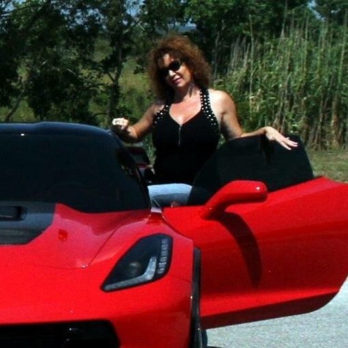 Porn Pics Corvettes - Tits & Tires
