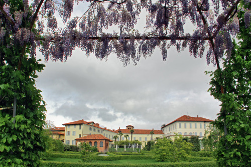 floralls:Biella - Palazzo Gromo Losa by Maria Grazia Schiapparelli