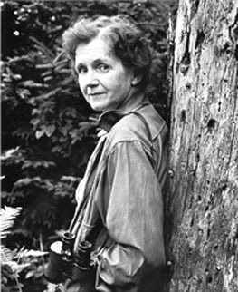 ladieslovescience:  Rachel Carson (1907-1964) was a conservationist. She wrote several