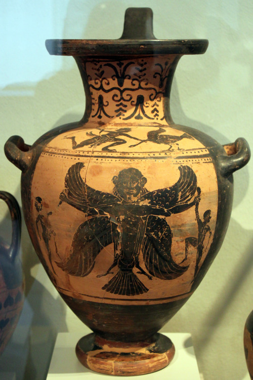 lionofchaeronea:Black-figure hydria depicting a creature variously identified as a Harpy or a “death