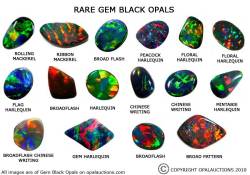 Opal Auctions