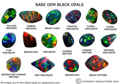 Porn photo Opal Auctions