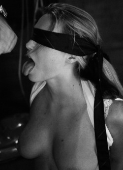 One of the differences (to me) between a sub and a vanilla, is that both will let you blindfold them and put different things in their mouth, but a sub will continue to allow you to do this even after you put something nasty in there because the decision