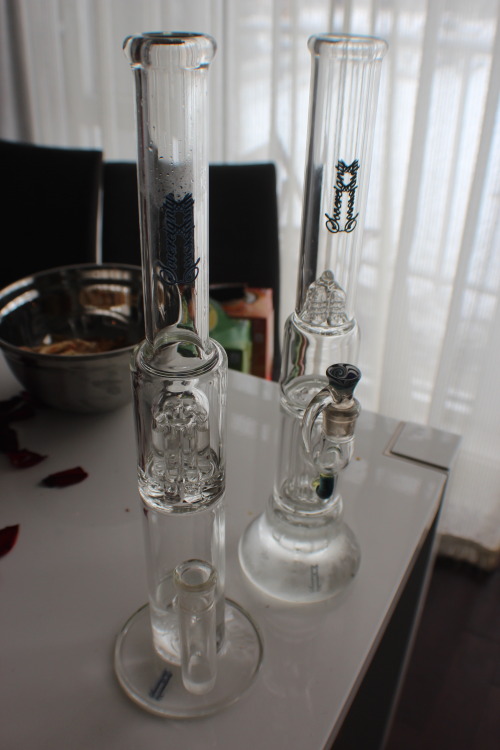 sileenagypsy: Sovereignty bongs 